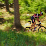 DM2010-395.jpg