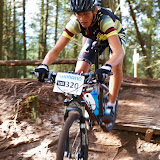 DM2010-360.jpg