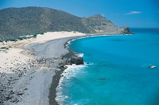 Dedicated to the East Cape region of Baja California Sur, one of the richest and most diverse fisheries in the world. 