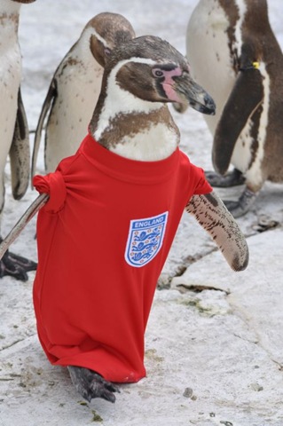 [Dippy leads the England team onto the pitch[15].jpg]
