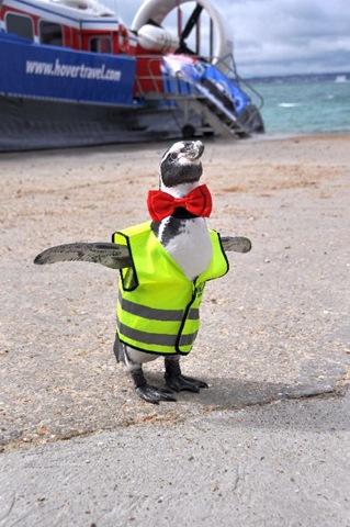[Dippy flaps his approval at Southsea Hover port (resized)[11].jpg]