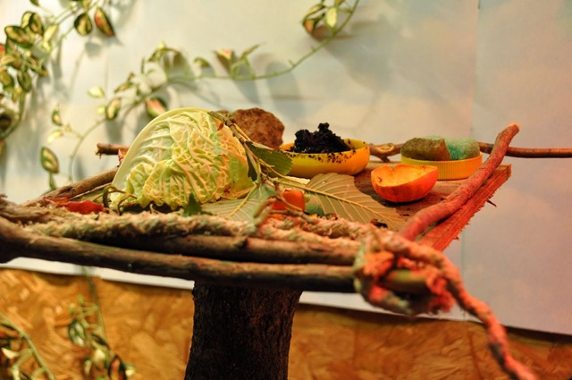 [Leaf-Cutter Ants feeding table (resized) JB[8].jpg]