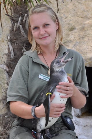 [dsc0213.JPGTara & penguin chick[6].jpg]