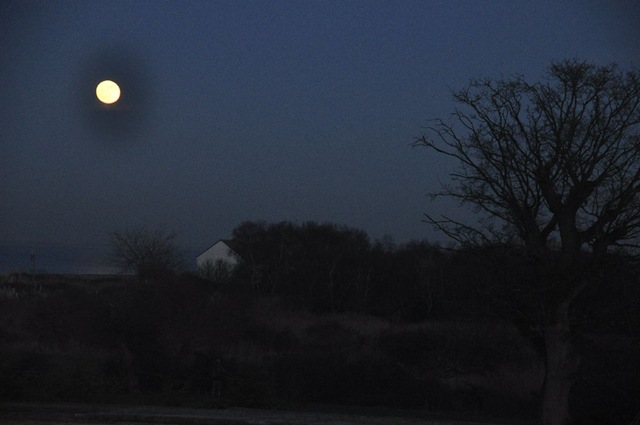 [Moonlight over the Solent (orig) Jan 11[8].jpg]