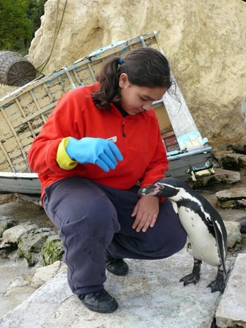 [P1060095 Holly Hinds[9].jpg]