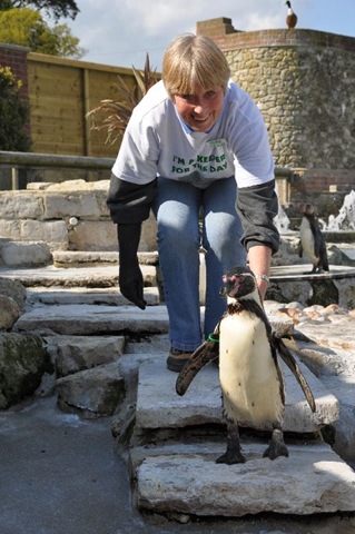 [Sue Betts with Dippy DSC1126[5].jpg]