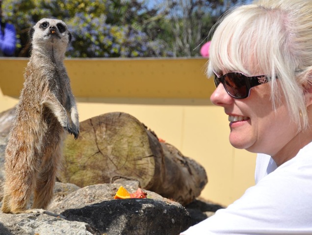 [Sally Green with Meerkat (cropped) 0135[7].jpg]