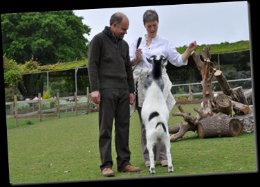 Simon & Rachel with Olly the Goat DSC_0706