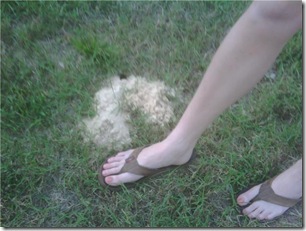 big foot
