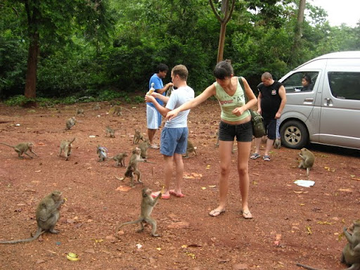 Паттайя. Пакет. 22.08-05.09