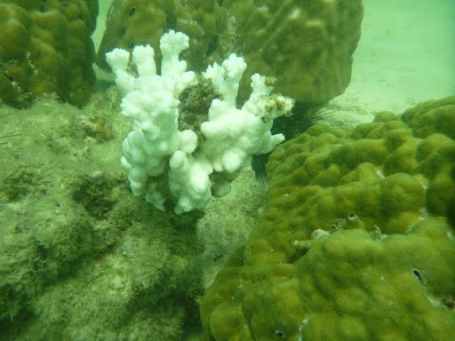 Паттайя. Пакет. 22.08-05.09