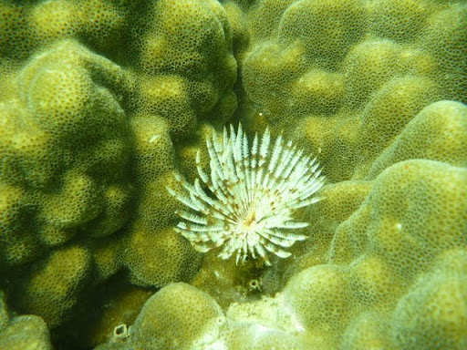 Паттайя. Пакет. 22.08-05.09