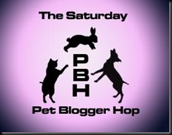 pet-blogger-hop-pink-copy