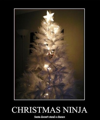 [funny-pictures-cat-is-a-christmas-ninja[3].jpg]