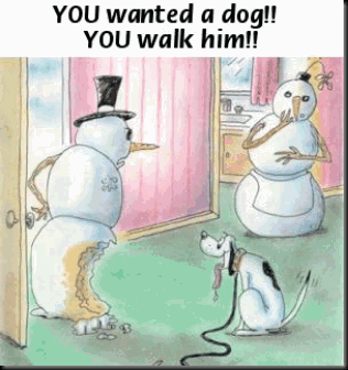 funny-snowman-dog