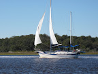 IMG_4591.JPG