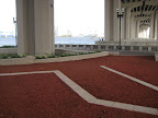 IMG_6978.JPG