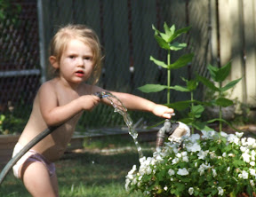 My favorite thing in the back yard...the water spicket. 
