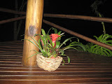 IMG_7071.JPG
