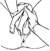 [clip_image002[3].gi]