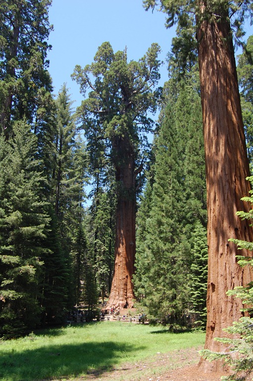 [DSC_4713[4].jpg]