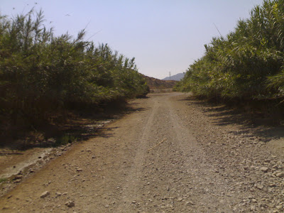 2009-08-28-11h53m19-Agua