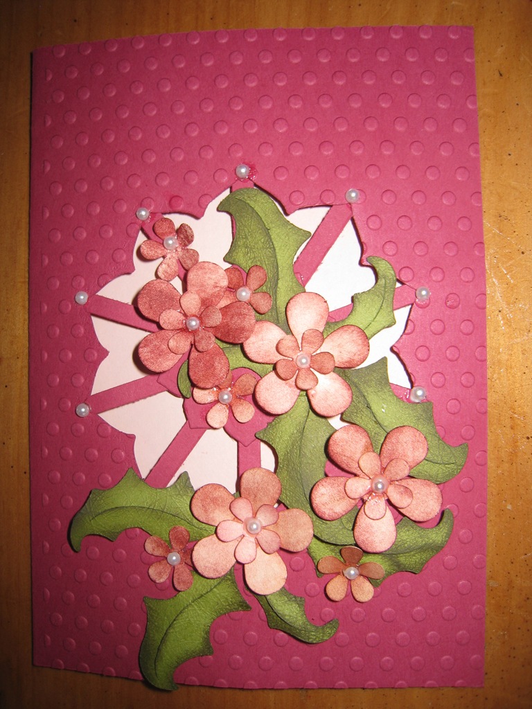 [Feb 16 2011 cards & flowers 046[6].jpg]