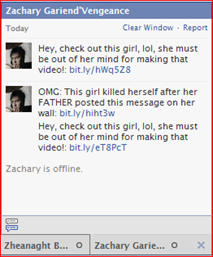 SPAM Facebook Chat - History