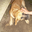 DSCN3807.JPG