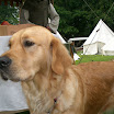 CIMG4585.JPG