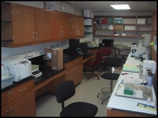 A Biology Lab