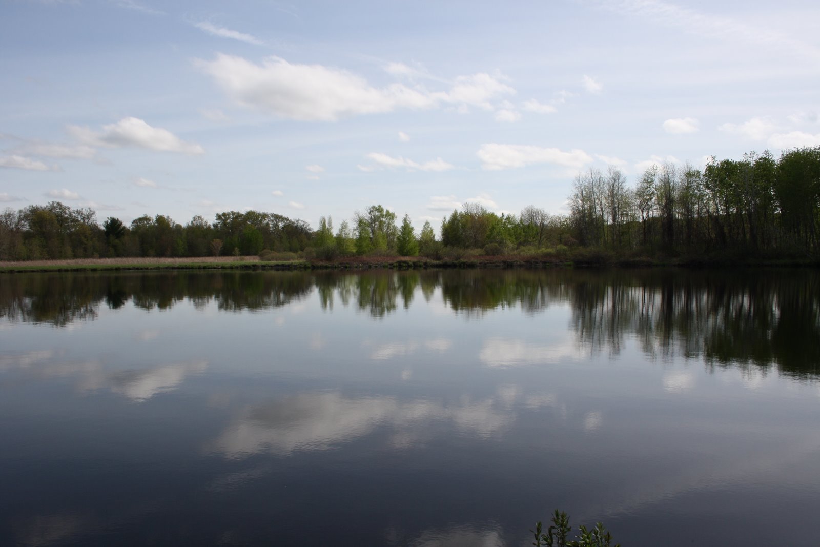 [IMG_4009.JPG]