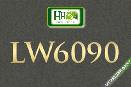 [LW6090.gif]