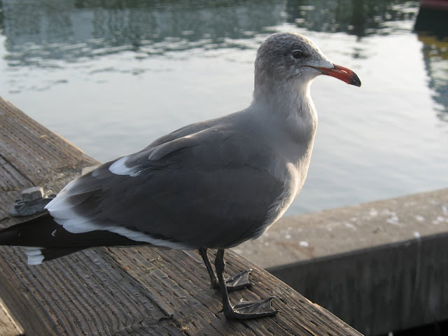 ''