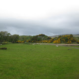 IMG_2458.JPG
