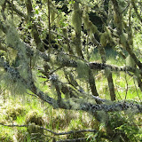 IMG_2536.JPG