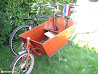 World Cup 2010 photo 11