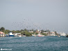 Isla Mujeres photo 59