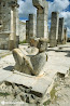 Mayan Ruins photo 19
