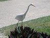 Cancun photo 37