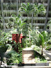 Cancun photo 46