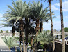 Las Vegas photo 90