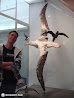Royal Ontario Museum photo 35