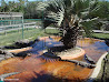 Everglades photo 4