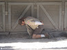 Everglades photo 21