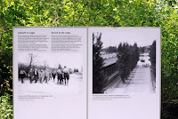DSC_0576.JPG Photo