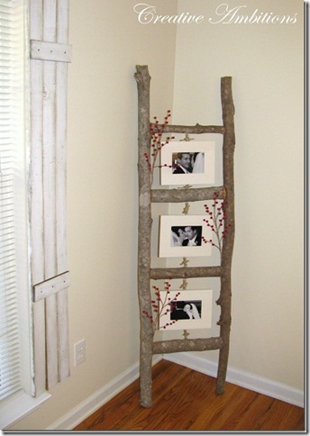 photo ladder