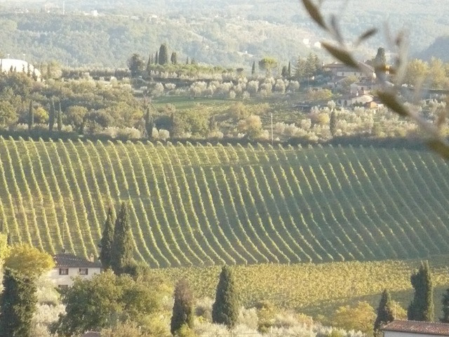 [Tuscany 706[3].jpg]