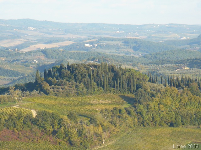 [Tuscany 713[4].jpg]
