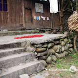 – 辣椒 – 辣椒